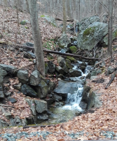early spring stream flowing over rocks in forest