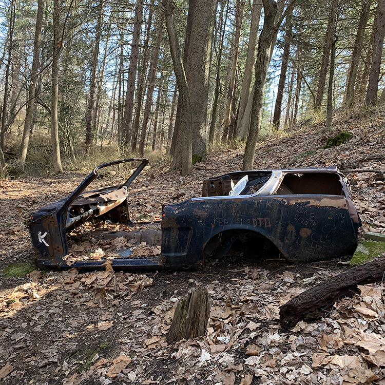 body of rusty car laying in woods