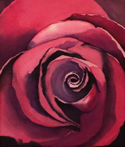 close up painting rosy red rose