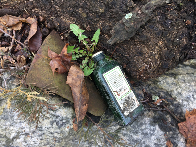 jagermeister bottle thrown from car window lands roadside