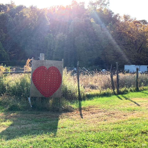 red heart in field beams of sunlight