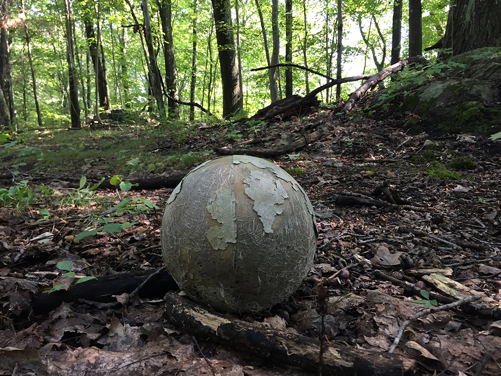 inflated ball losing outside colors in woods