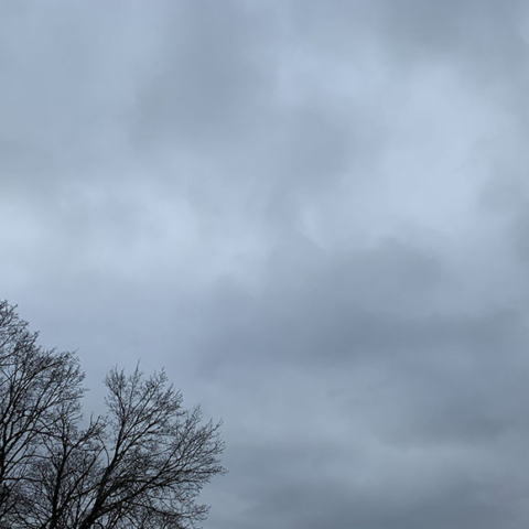 March gray threatening sky bare treetop