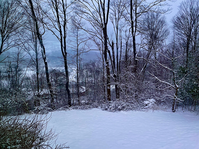 snow covered yard edged by many tall trees distant hills