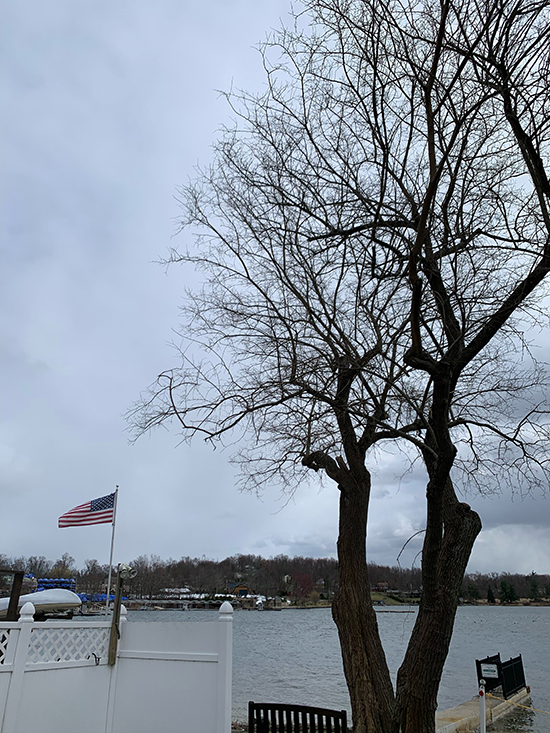 bare limbed tree lake and American flag in backgroung