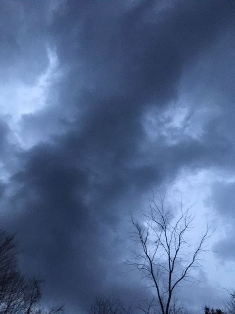 talk tree silhouette against dark and threatening sky