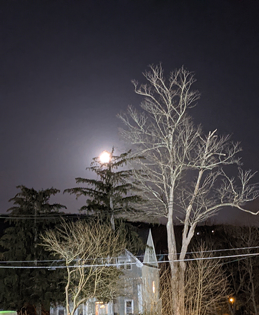view from widow dark sky full moon whit house and tree illuminated by street light