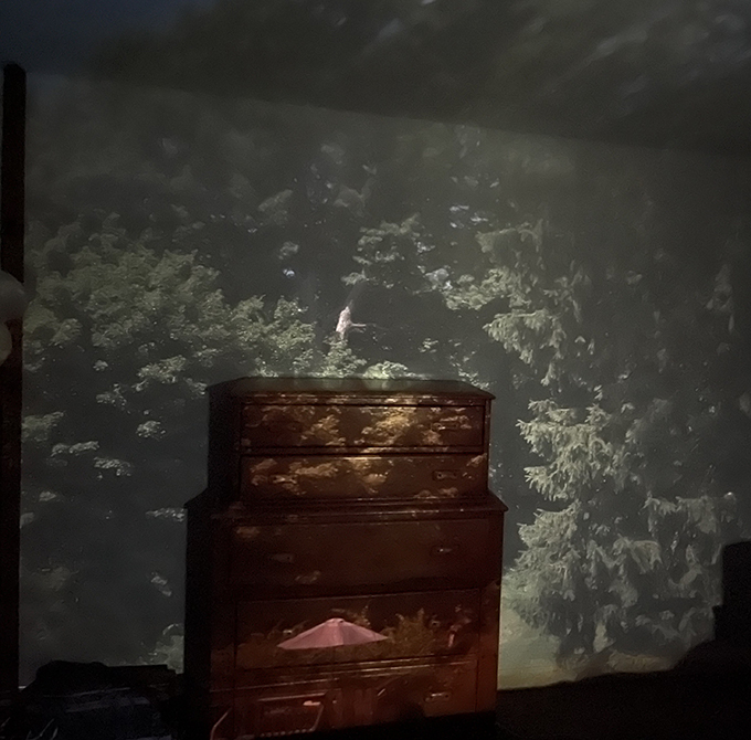 camera obscura image of leafy trees projected onto wall with bureau