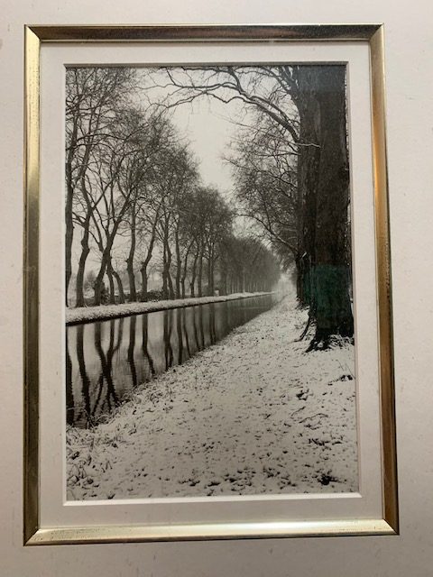 crooked photograph of framed long row of winter trees along canal in France