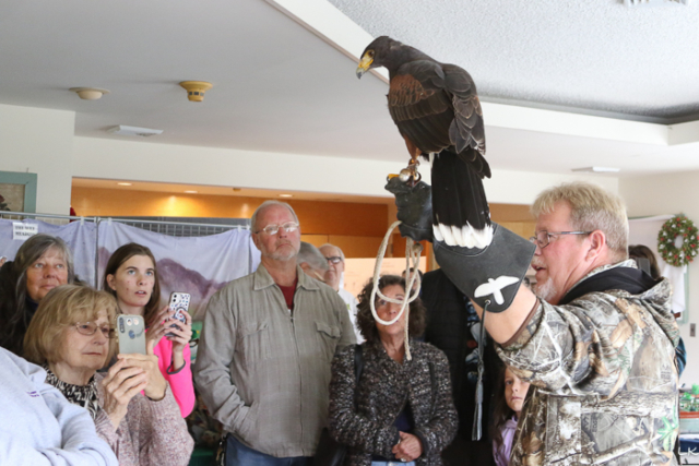 falconer holding white tailed hawk up people taking photos