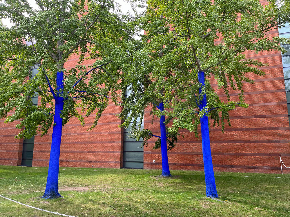 trees with trunks painted blue