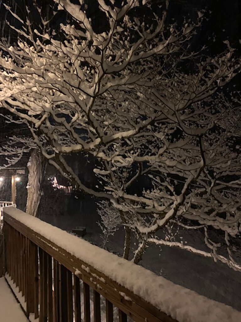 tree branches covered in snow illuminated by deck light