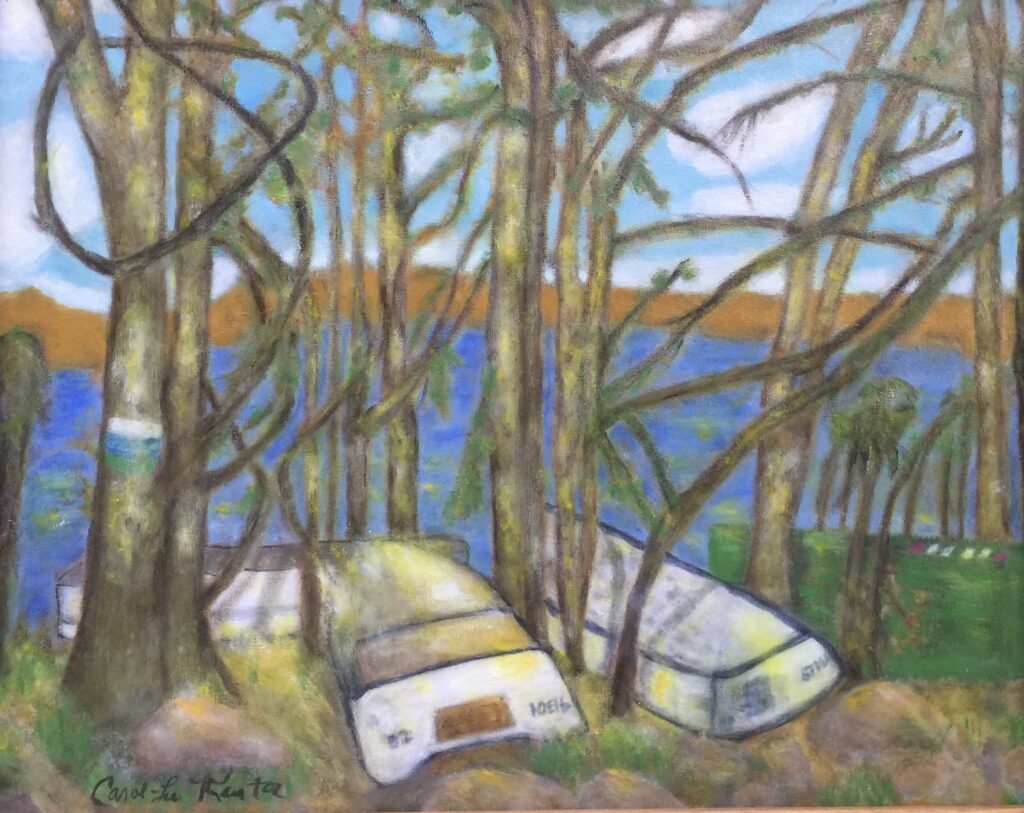 lake in background glimpsed throuth a tangle of trees and branches white rowboats uder trees